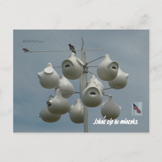 Stamford Ct Postcard Postkarte (Vorderseite)