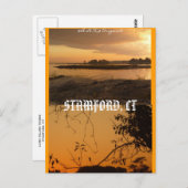 Stamford, CT Postkarte (Vorne/Hinten)