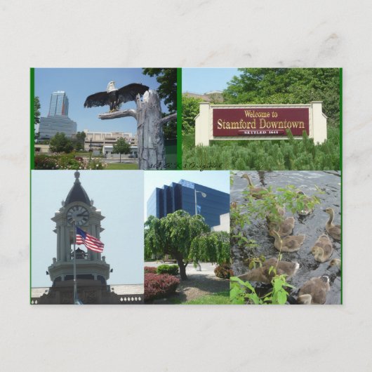 Stamford Downtown Centre Postcard Postkarte (Vorderseite)