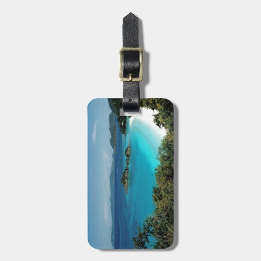 Stamm-Bucht-Gepäckanhänger Gepäckanhänger (Vorderseite vertikal)