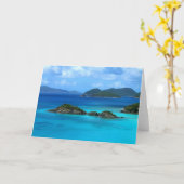 Stamm-Bucht-Gruß-Karte Karte (Gelbe Blume)