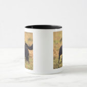 Stamm der rührenden Nachkommenschaft des Tasse (Zentrum)