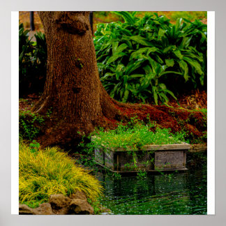 Stamm und Wasser Poster