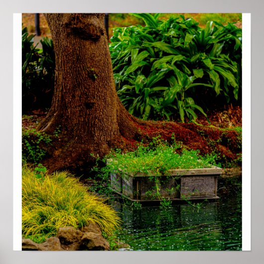 Stamm und Wasser Poster (Vorne)