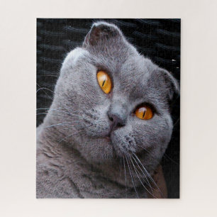 Stammbaum der Scottish Fold Katze Puzzle