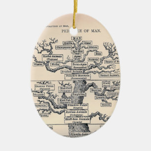 Stammbaum des Lebens / Ahnentafel des Menschen Keramik Ornament