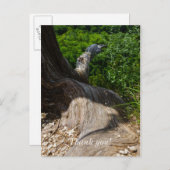 Stammbaum-Erweiterung Postkarte (Vorne/Hinten)