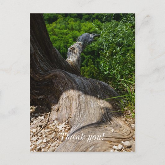 Stammbaum-Erweiterung Postkarte (Vorderseite)