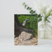 Stammbaum-Erweiterung Postkarte (Stehend Vorderseite)