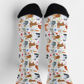 Stammbaum Katzen Socken (Oben)