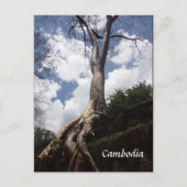 Stammbaum Postkarte (Vorderseite)