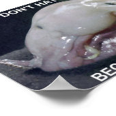 Stammfisch1 Poster (Ecke)