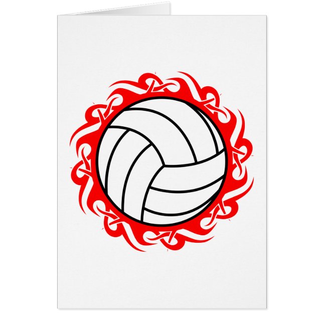 Stammvolleyball (Vorne)
