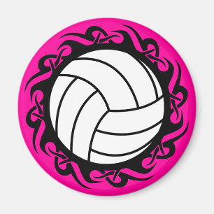 Stammvolleyball Magnet