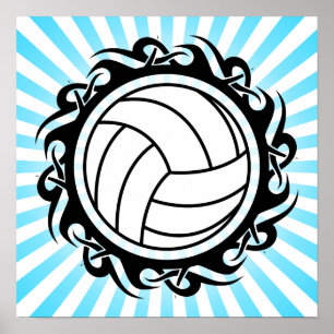 Stammvolleyball Poster