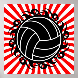 Stammvolleyball Poster