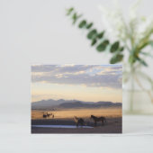 Stampede Postkarte (Stehend Vorderseite)