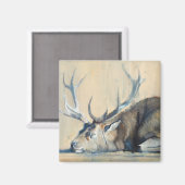 Stand 2014 magnet (Vorderseite/Rückseite)