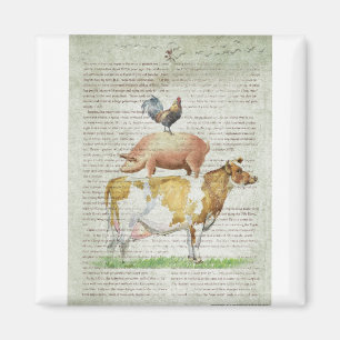 Stand B1.tif des Bauernhof-NOB11 Magnet