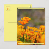 Stand by me! postkarte (Vorne/Hinten)