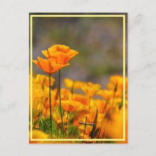 Stand by me! postkarte