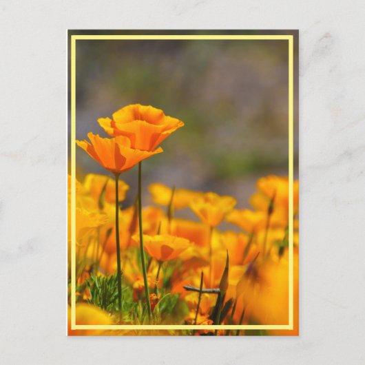 Stand by me! postkarte (Vorderseite)