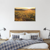 Stand der Balsamroot-Wildblumen der Arrowleaf Leinwanddruck (Insitu (Schlafzimmer))