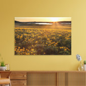 Stand der Balsamroot-Wildblumen der Arrowleaf Leinwanddruck (Insitu (Wohnzimmer))