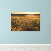 Stand der Balsamroot-Wildblumen der Arrowleaf Leinwanddruck (Insitu (Holzboden))