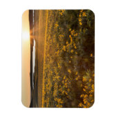 Stand der Balsamroot-Wildblumen der Arrowleaf Magnet (Vertikal)