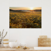 Stand der Balsamroot-Wildblumen der Arrowleaf Poster (Küche)