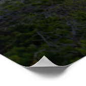 Stand der Zeit, Philmont Scout Ranch, Cimarron Poster (Ecke)