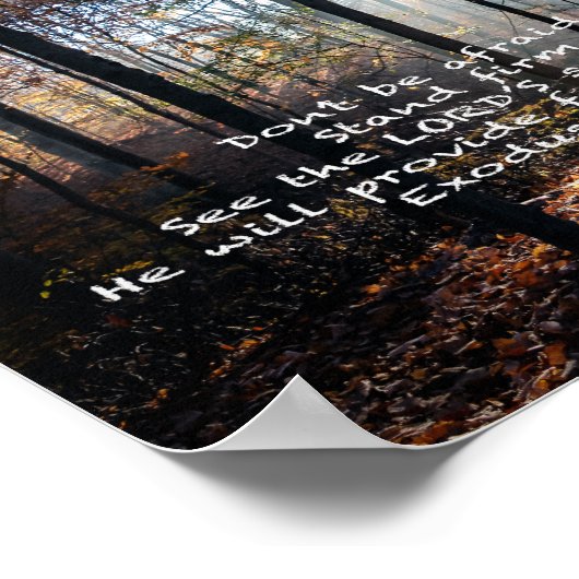 Stand Firm — Poster (Ecke)