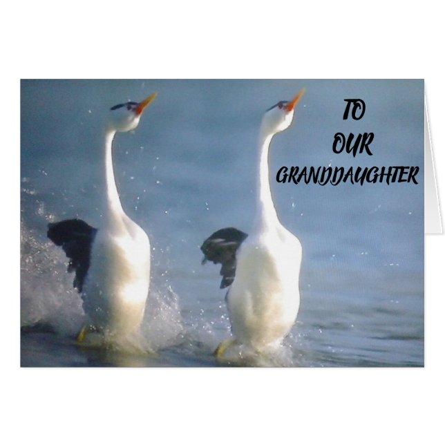 STAND **GRANDAUGHTER** WÜNSCHT SICH FÜR DIE ZUKUNF (Vorderseite (Horizontal))