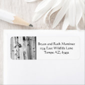 Stand hoch Aspen's (Insitu)