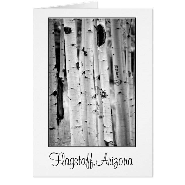 Stand hoch Aspens Flagstaff (Vorne)