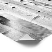 Stand hoch Aspen's Fotodruck (Ecke)