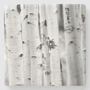 Stand hoch Aspen's Steinuntersetzer