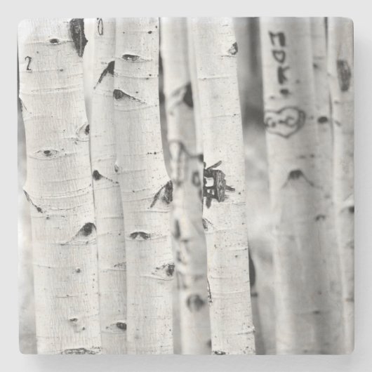 Stand hoch Aspen's Steinuntersetzer (Vorderseite)