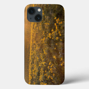 Stand Of Arrowleaf Balsamroot Wildflowers Case-Mate iPhone Hülle