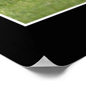 "STAND OUT" WEISSE RAVENEN Motivierend Foto drucke (Ecke)