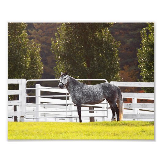 Stand Proof Fotodruck (Vorne)