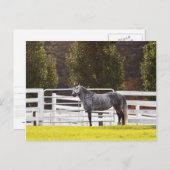 Stand Proof Postkarte (Vorne/Hinten)