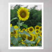 Stand Tal Poster (Vorne)