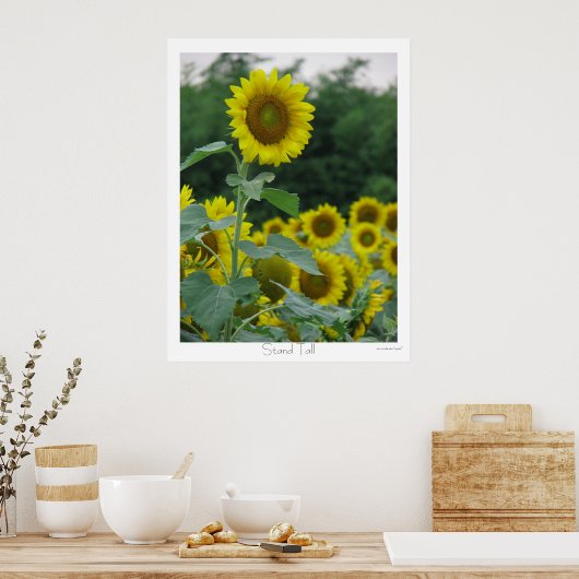 Stand Tal Poster (Küche)