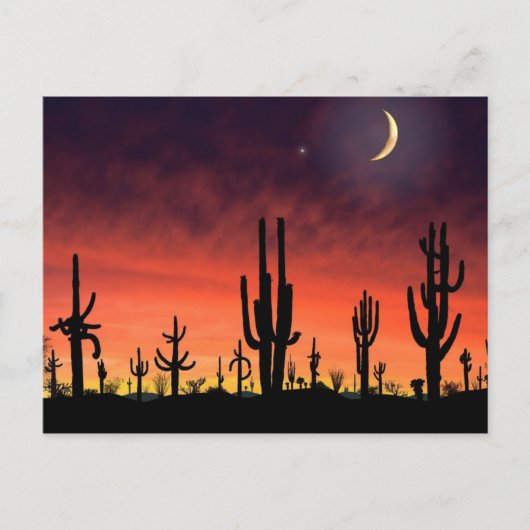 Stand Tall_ Postkarte (Vorderseite)