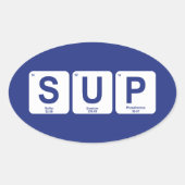 Stand Up Paddleboarding Ovaler Aufkleber (Vorderseite)