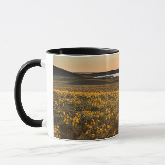 Stand von Arrowleaf Balsamroot Wildblumen Tasse (Links)