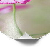 STAND VON LISIEUX, WENN JEDE TINY-BLUME GEWOLLT IS FOTODRUCK (Ecke)