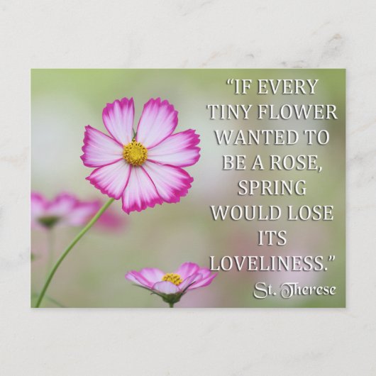 STAND VON LISIEUX, WENN JEDE TINY-BLUME GEWOLLT IS POSTKARTE (Vorderseite)